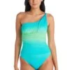 Cool Breeze Shirred One Shoulder One Piece Swimsuit -Bleu Rod Beattie Sales bleu rod cool breeze 1 pc cool breeze shirred one shoulder one piece swimsuit 36447923011759